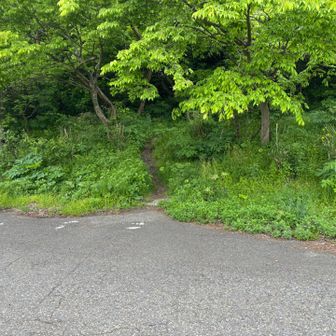 笠飛峠 ⛰️樋曽山口