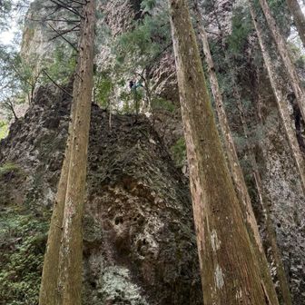 いるのわかるかなぁ…🧗