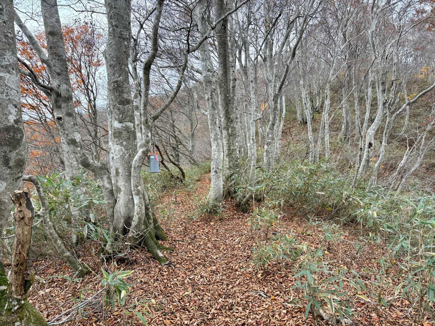 さらに熊鐘