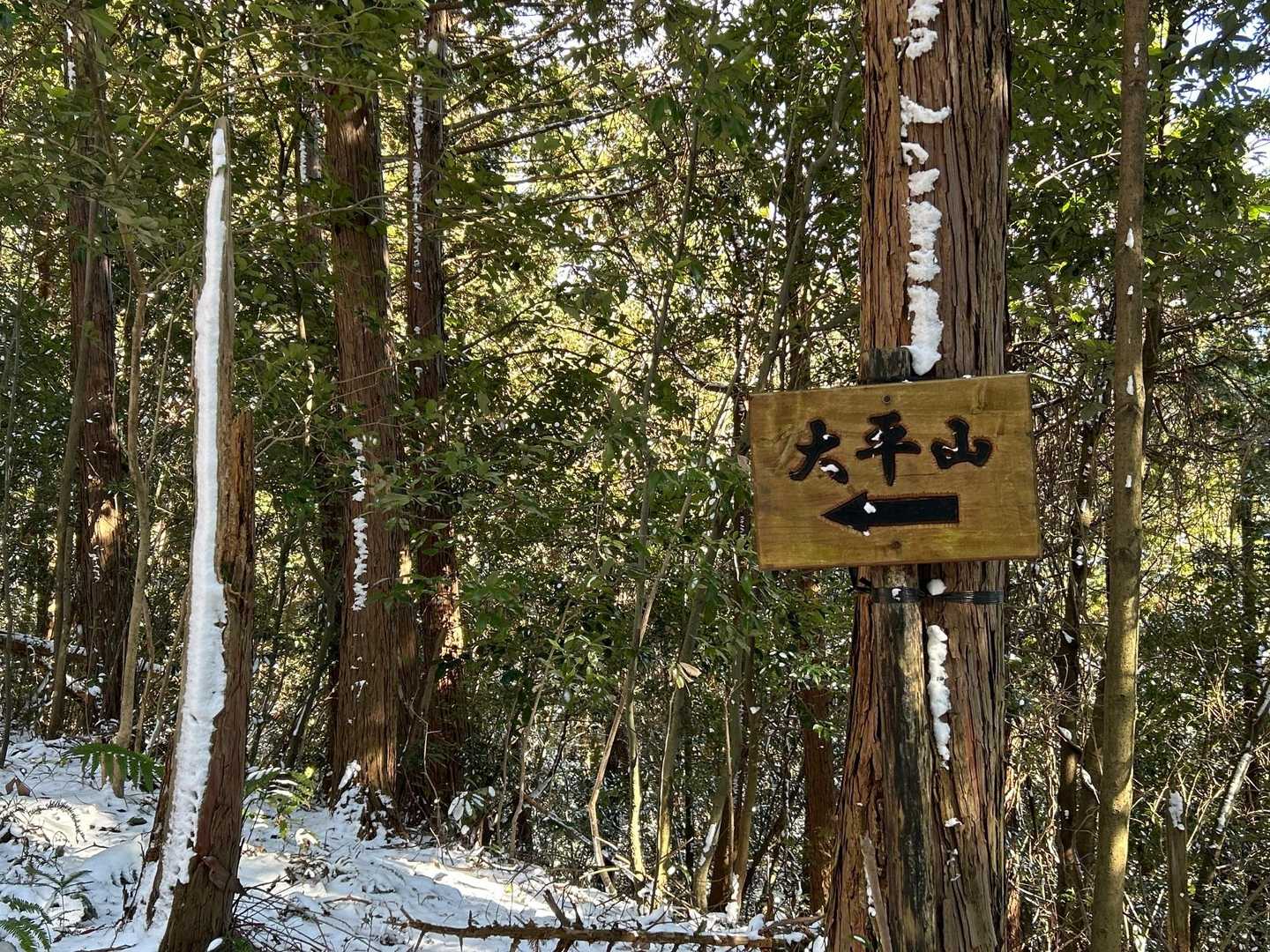 雪が溶け始めてるので遊歩道を歩きます！
旧道、急登は晴れた日に😊