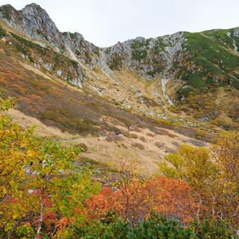 千畳敷まで戻ってすぐにロープウェイとバスを乗り継いで下山
今日も混んでいた