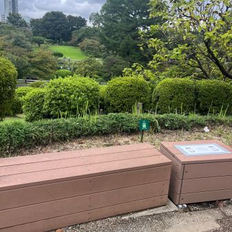 ツツジ山
この辺りなんだけどなー
それらしいものはない
なんだかスッキリしないですが
とりあえずピーク取りました⛰️