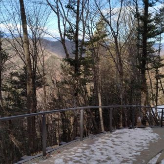 ここから普通の道を下ります😳