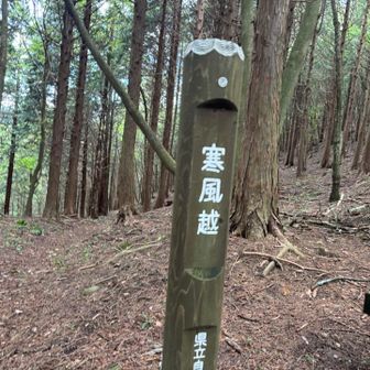 なかなかしんどい
ここから竜王への長い登りのあと一等三角点
