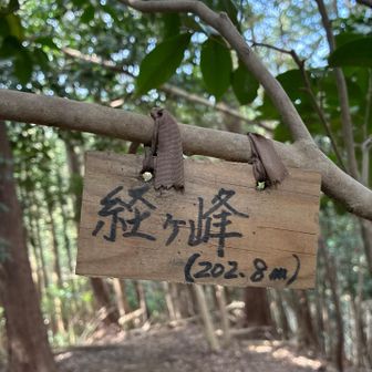 山頂標識は有り難いですね。
