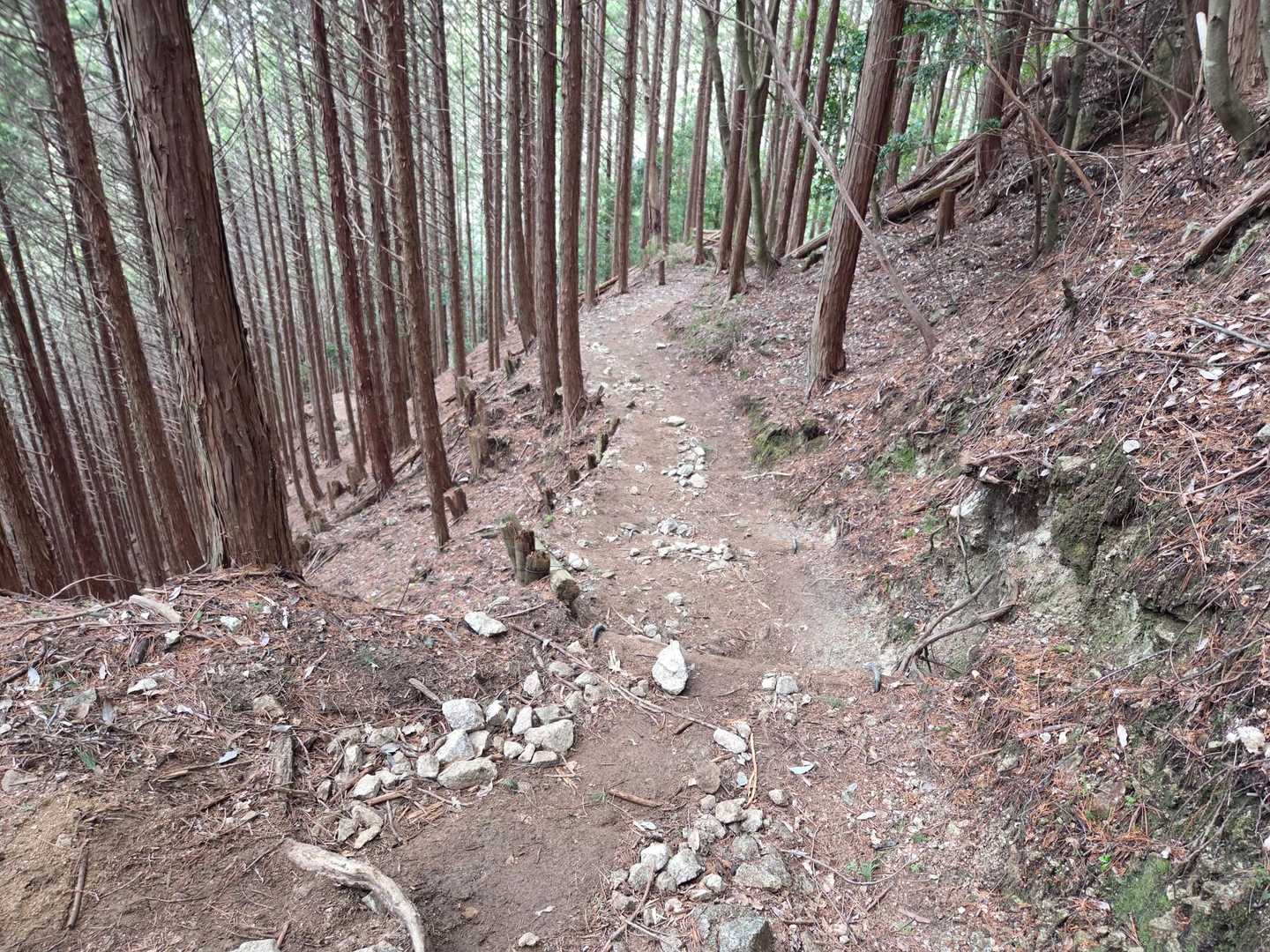順調に下山😉
