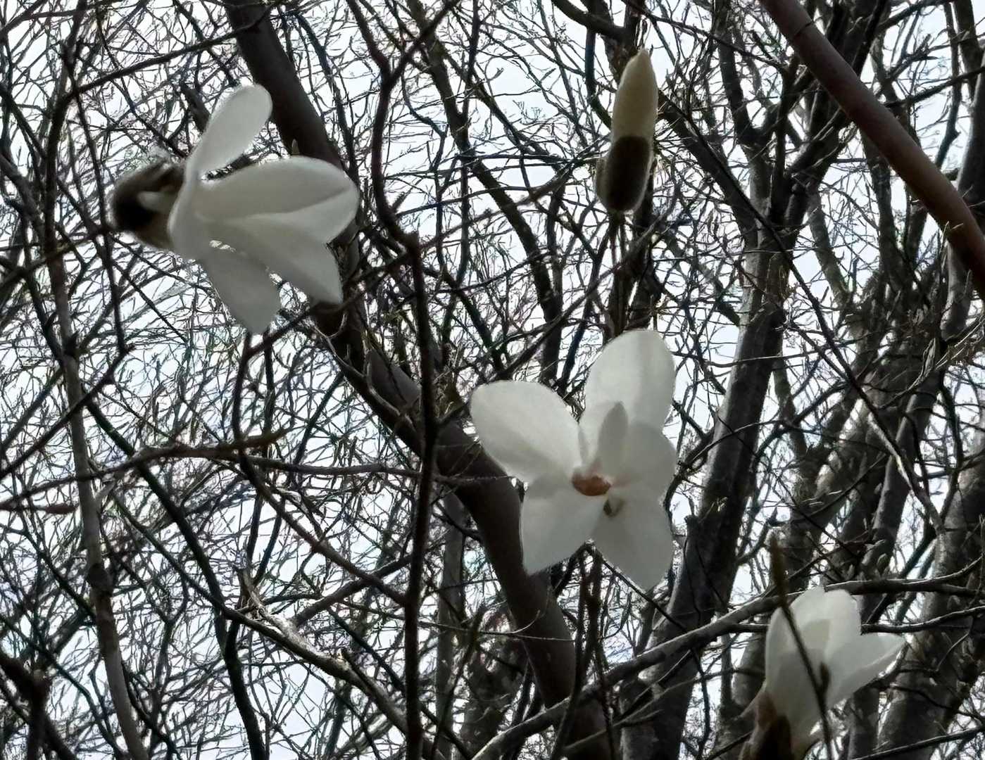 まだまだこれから❗️