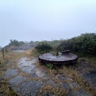 雨が強くなったので撤退