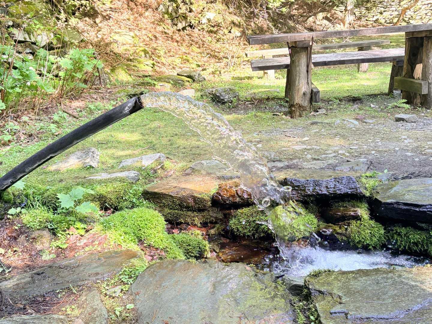 水量たっぷりのダイヤモンド水💎