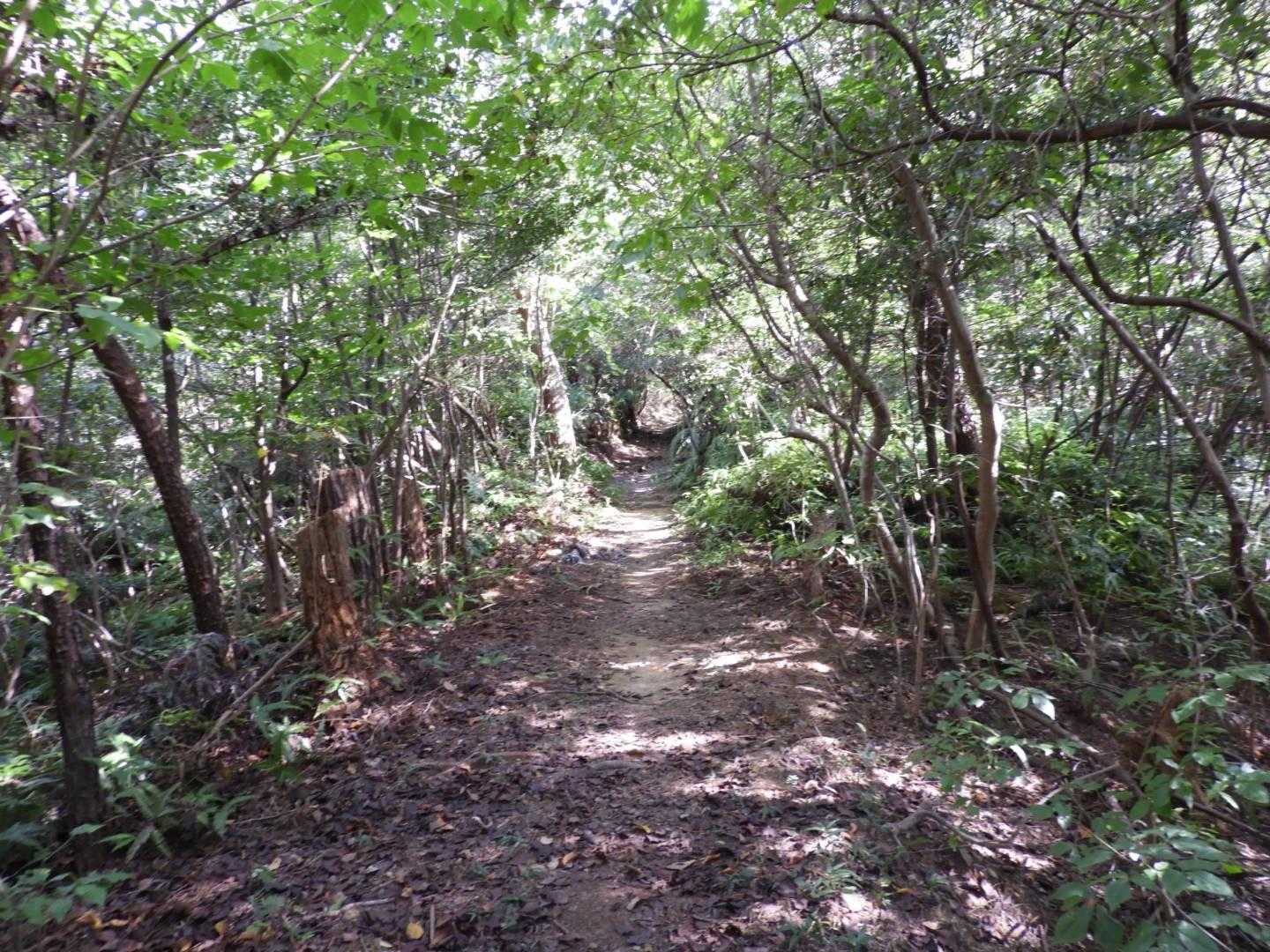 帰ってきました。