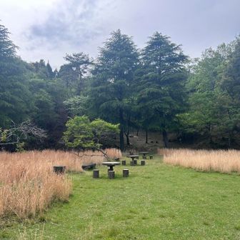 ヤング広場

景色が青々！走っていて楽しいな！
まさに青春！🌈