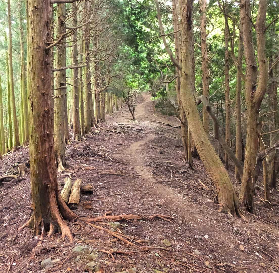 暑すぎてなかなか進まない
💦サウナや