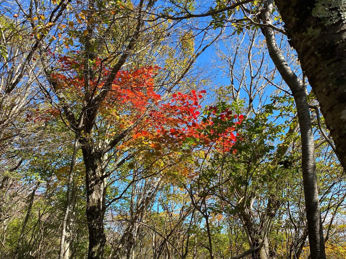 今倉山（道坂トンネル） の写真
