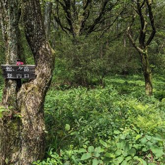 榛名富士の裏側（?）を歩き　蛇ヶ岳登山口へ