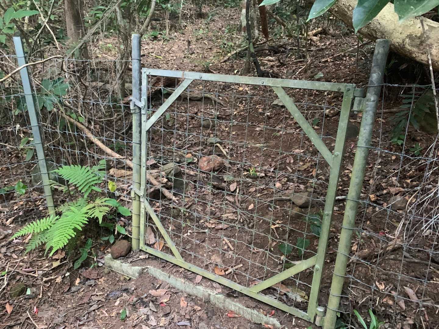 猪避けのドア🚪
大丈夫、この登山道は人が入っている普通の登山道🙆‍♀️