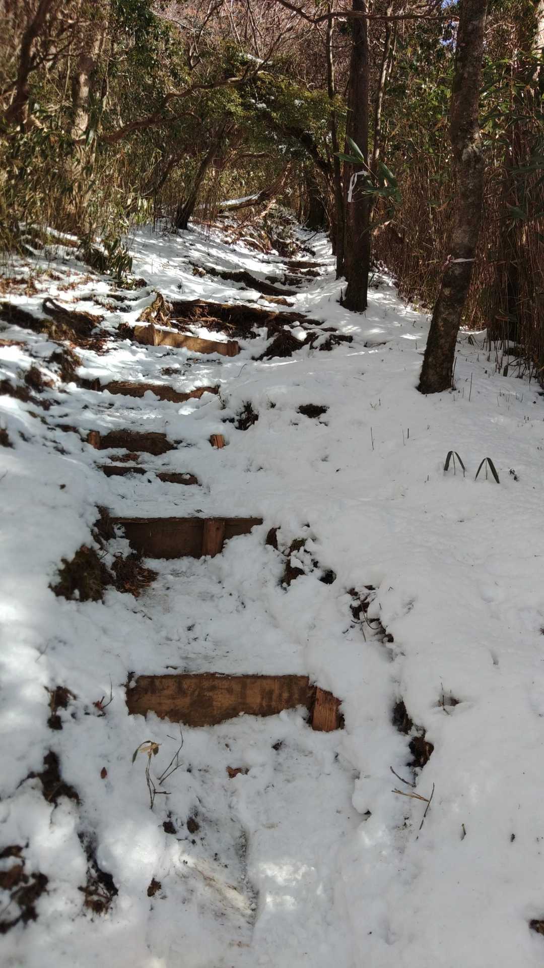 下の方から雪道に😥ほほ氷なので滑りまくり⛸️