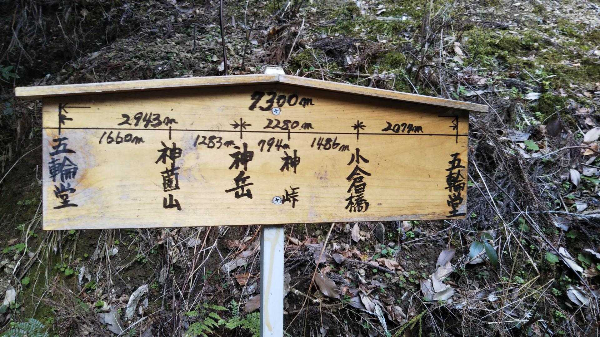神岳登り口-神薗の頭-神岳 往復コースの写真
