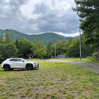 でも、たくさんあった車が、自車だけ😅
無事下山、ご視聴ありがとうございました😊
ササユリ見に行こうね😘