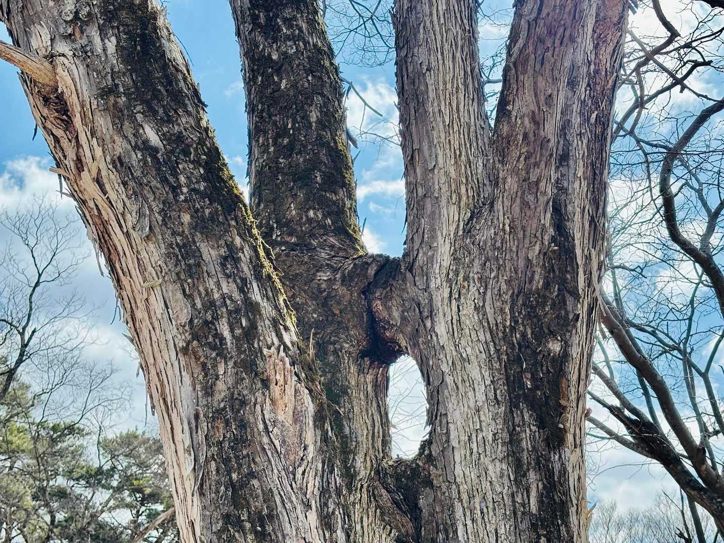 珍しい覗き穴