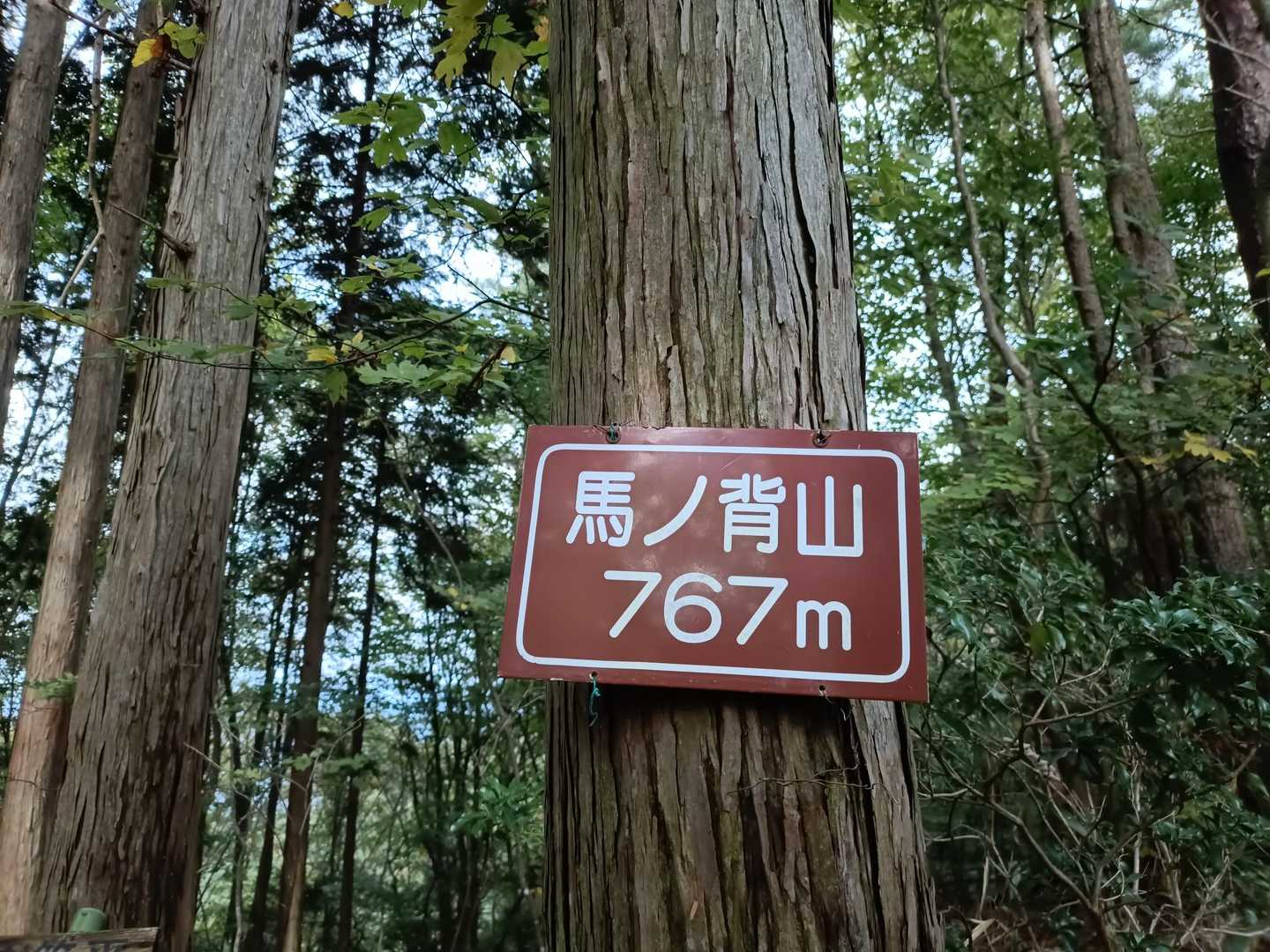 屏風山-大草口 周回コースの写真