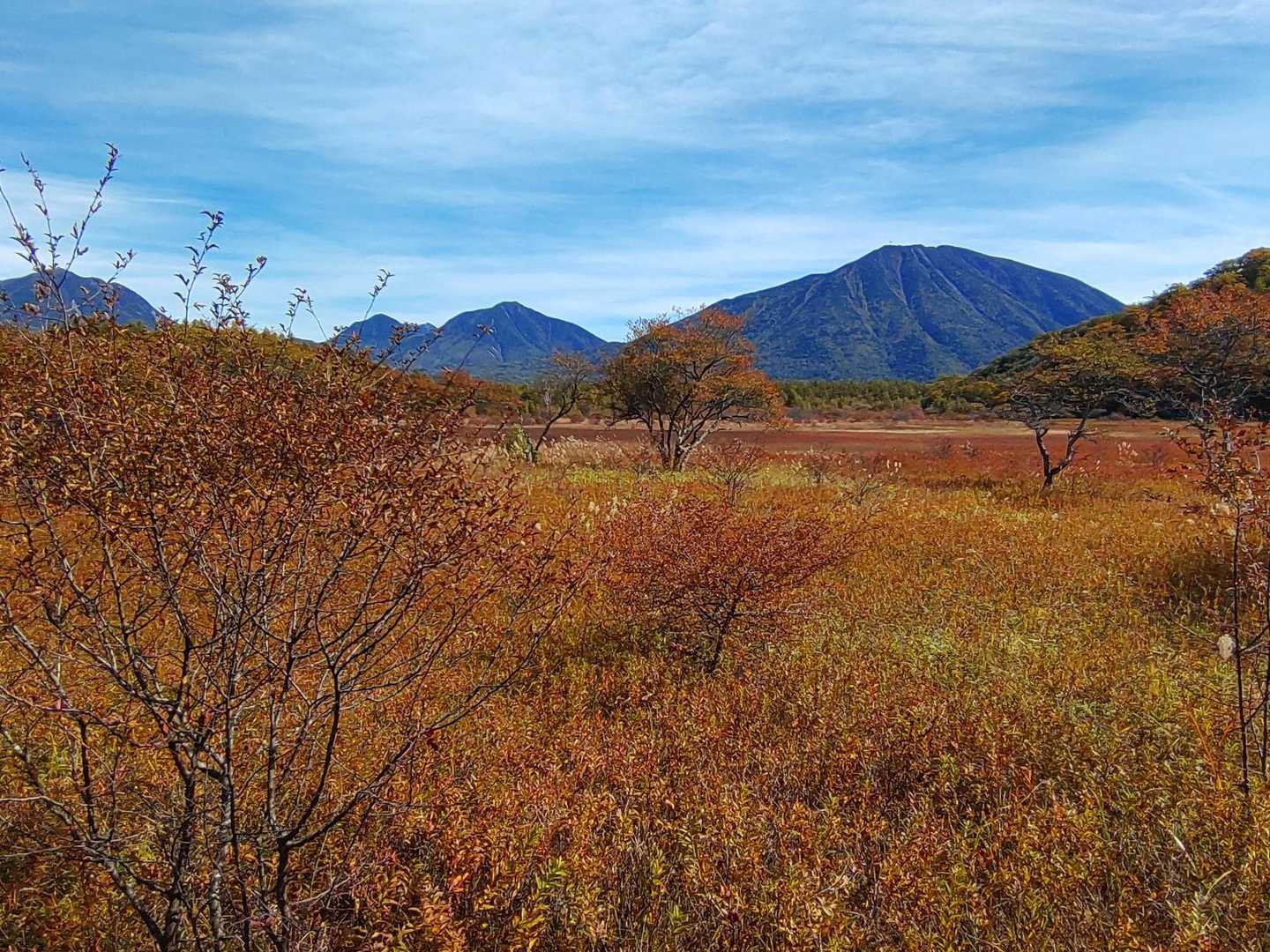 高山 周回コースの写真