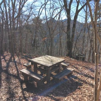 陽当たりよいここでお昼休憩