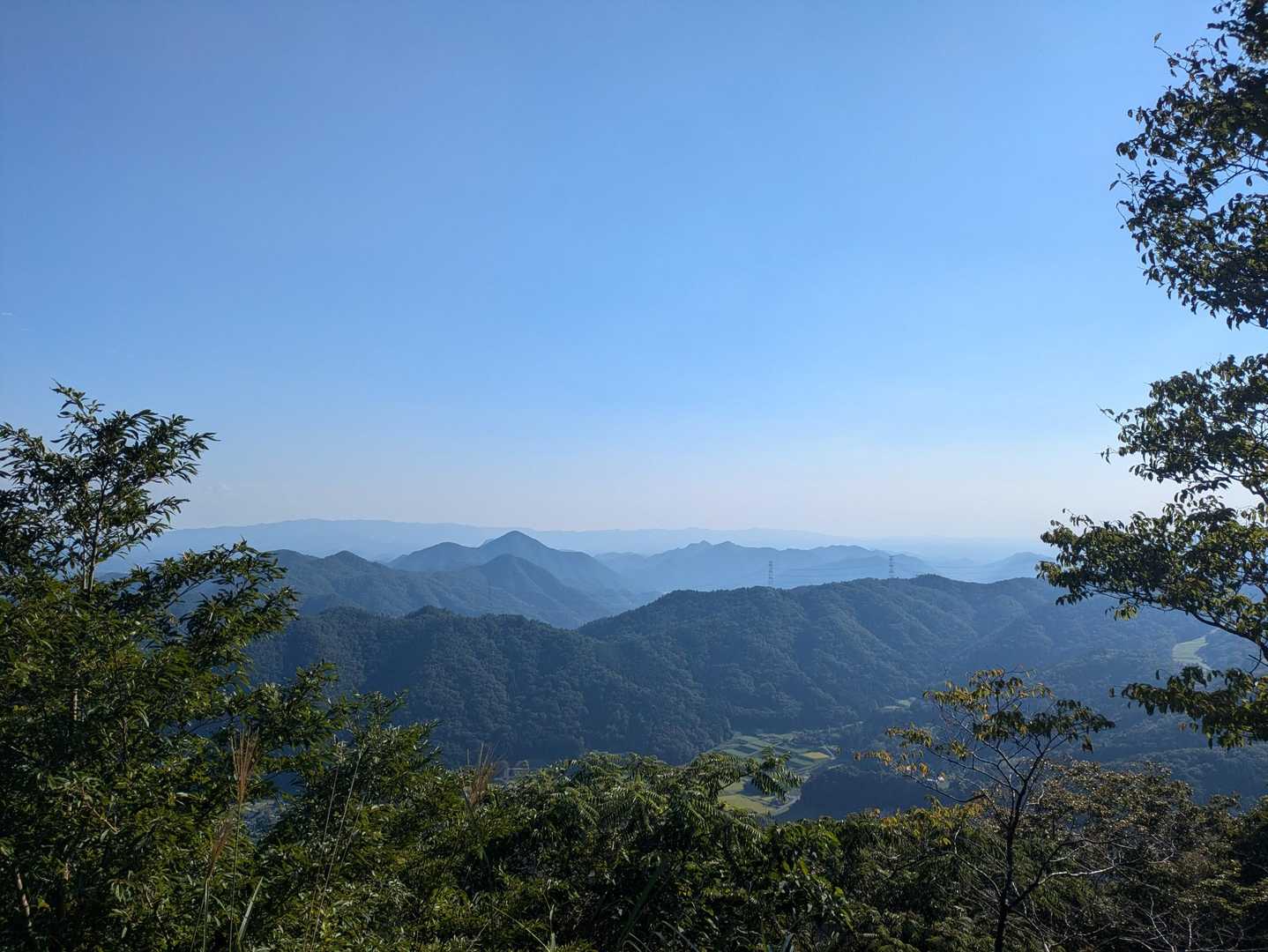 上の山-大野山 周回コースの写真