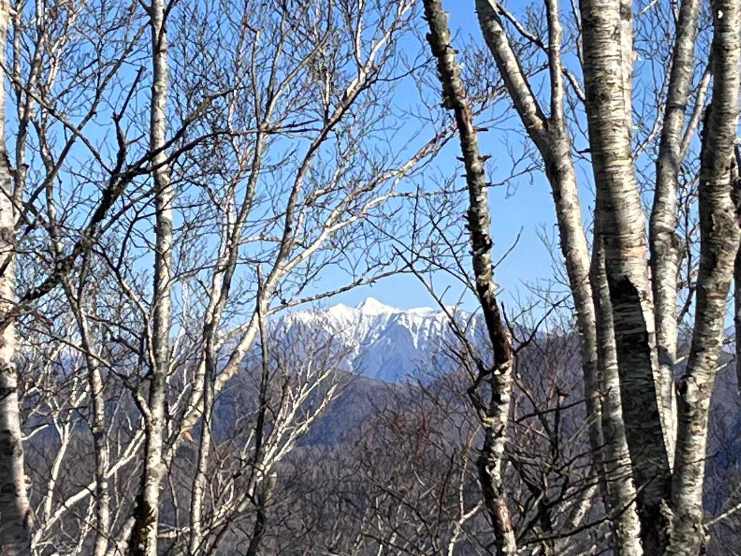 葉っぱが🍂落ちてるのでかろうじて見えますが、眺望は全般にこんな感じでした👀❗️