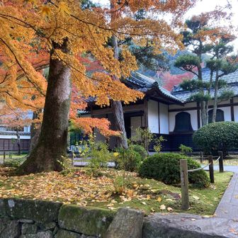まだ日光が足りないので、下山後にもう一度