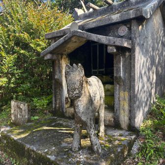 山頂にはお馬さんがいました。