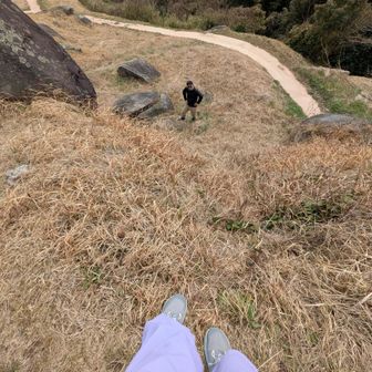 上から撮ったらこんな😱