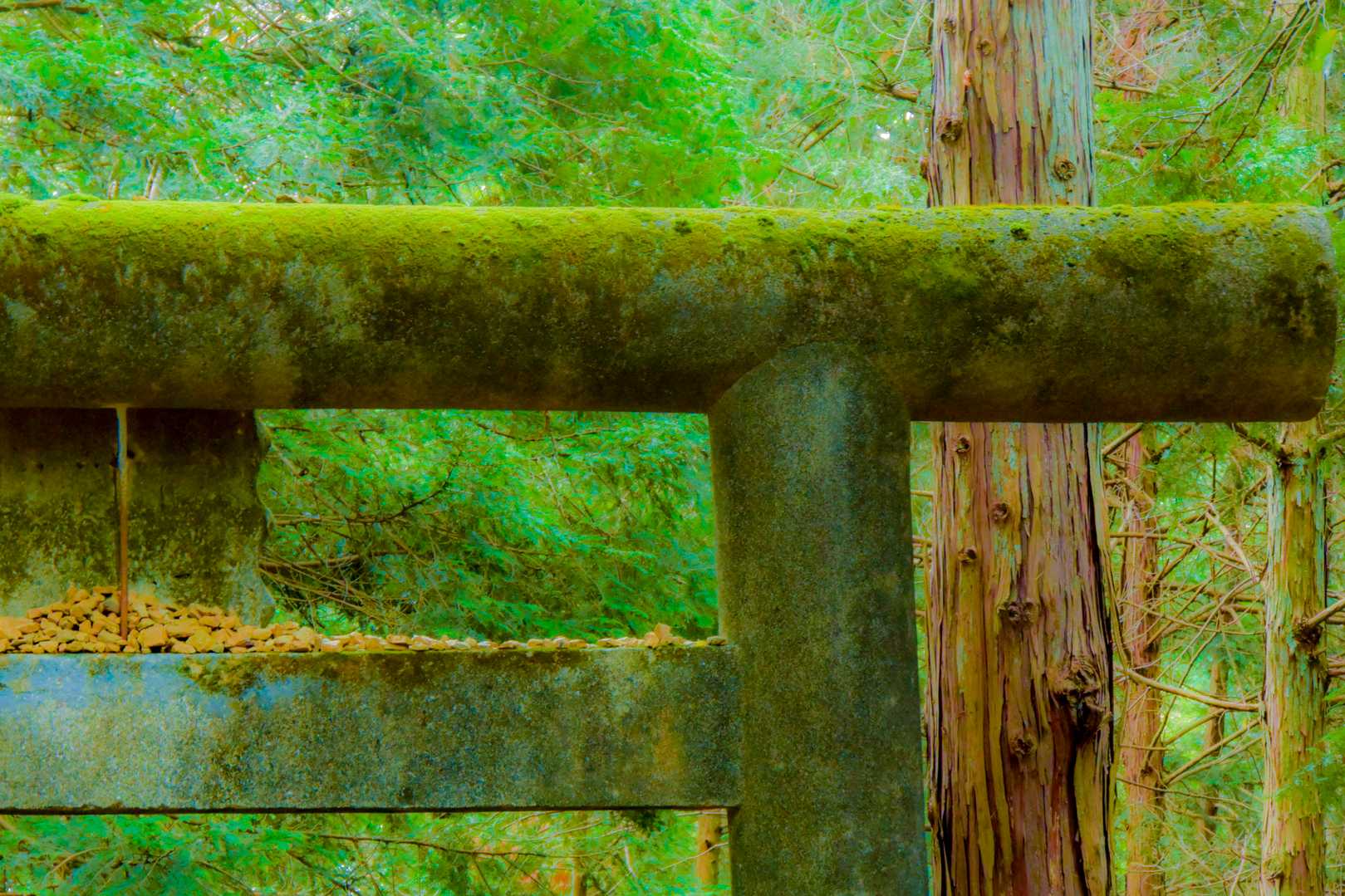 日和田山 男坂コースの写真