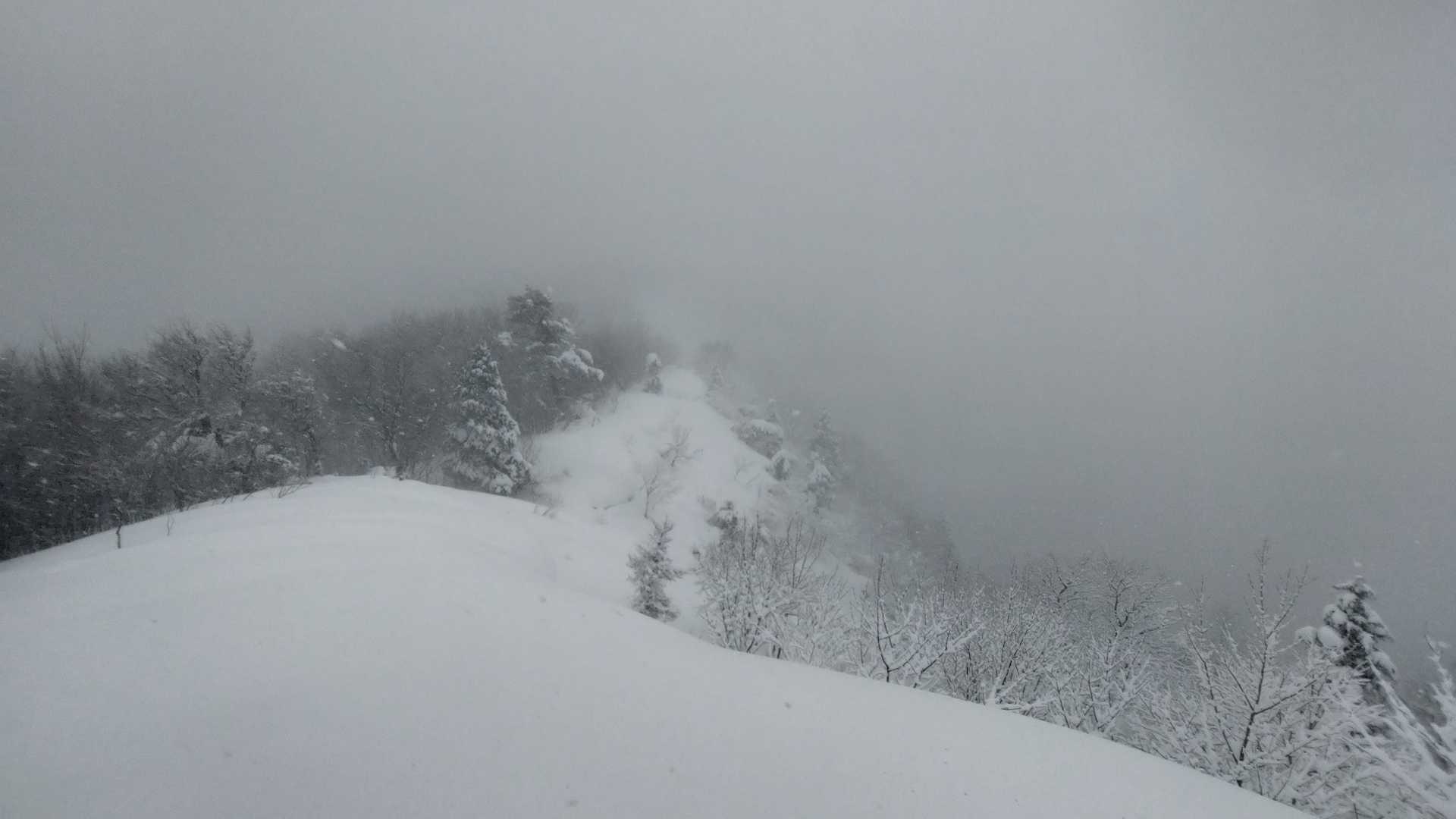 木々がなくて尾根が分かりやすい。もっと降ったら雪庇ができそう