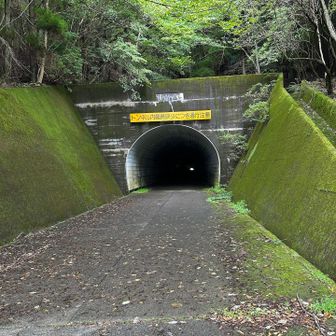 降りてきました。