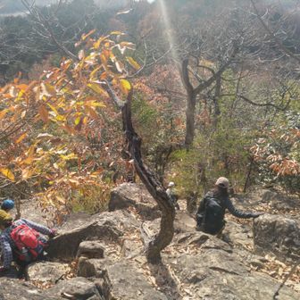 岩のグリップは良さそうだけど落ち葉に気を付けて🍁