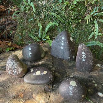 午後は太忠岳へ😊