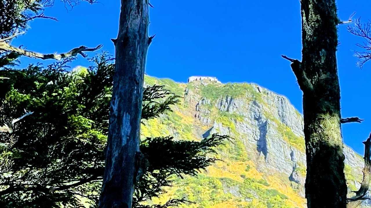 赤岳（美し森）＜真教寺尾根＞の写真