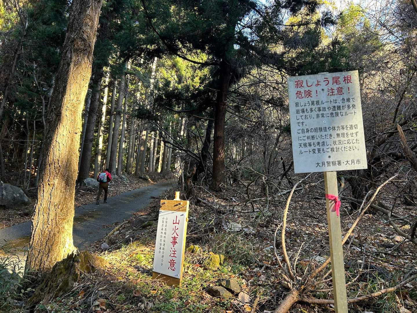 林道から寂しょう尾根に入っていく分岐。ここから登山道が始まります。