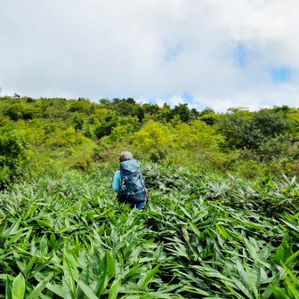 少しだけ笹薮の中を歩きました🌿🌿