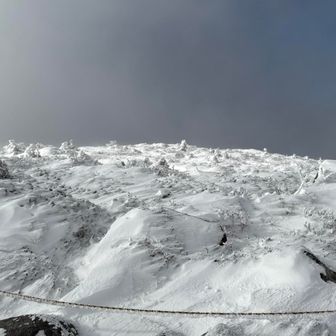 でも、試しに撮ってみる
どの方向かわからない😭
手袋だけは飛ばされないように注意⚠️