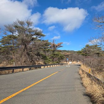 県道を歩き駐車場へ