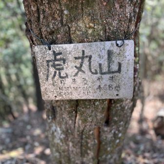 ６座目　虎丸山