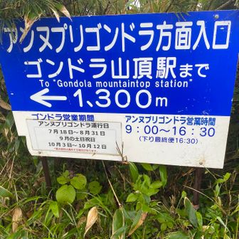 せっかくなんで、南峰に行ってみます。