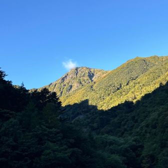 あそこまで👆登ります