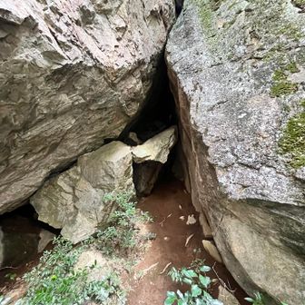 昔はくぐれたんかな？