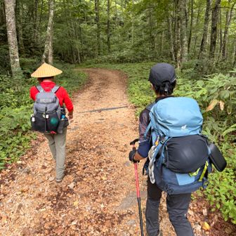 長い林道もいいペースで歩きます🚶‍♀️‍➡️