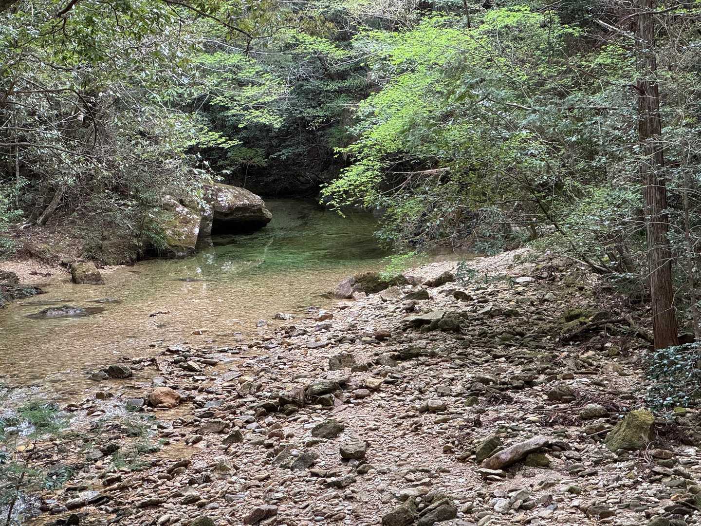 本日は乳岩峡から明神山を目指す💪
綺麗な沢を横目に気持ち良く歩く😊