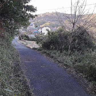 一旦下山しました。