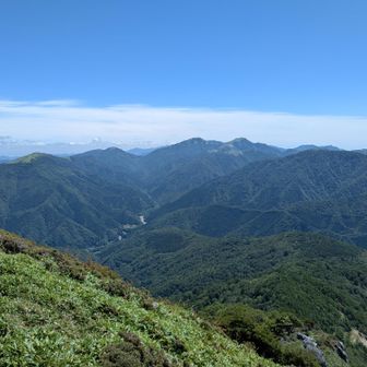 すぐ行くから待っててね