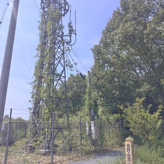 去年7月に初めて飯野山登った時以来のここから。
飯野山に去年初めてで今日が4回目って。。。超新顔✨️